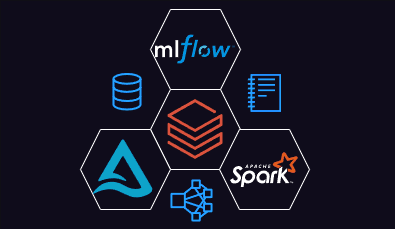 The Evolution of Databricks: From Research Project to Data Powerhouse